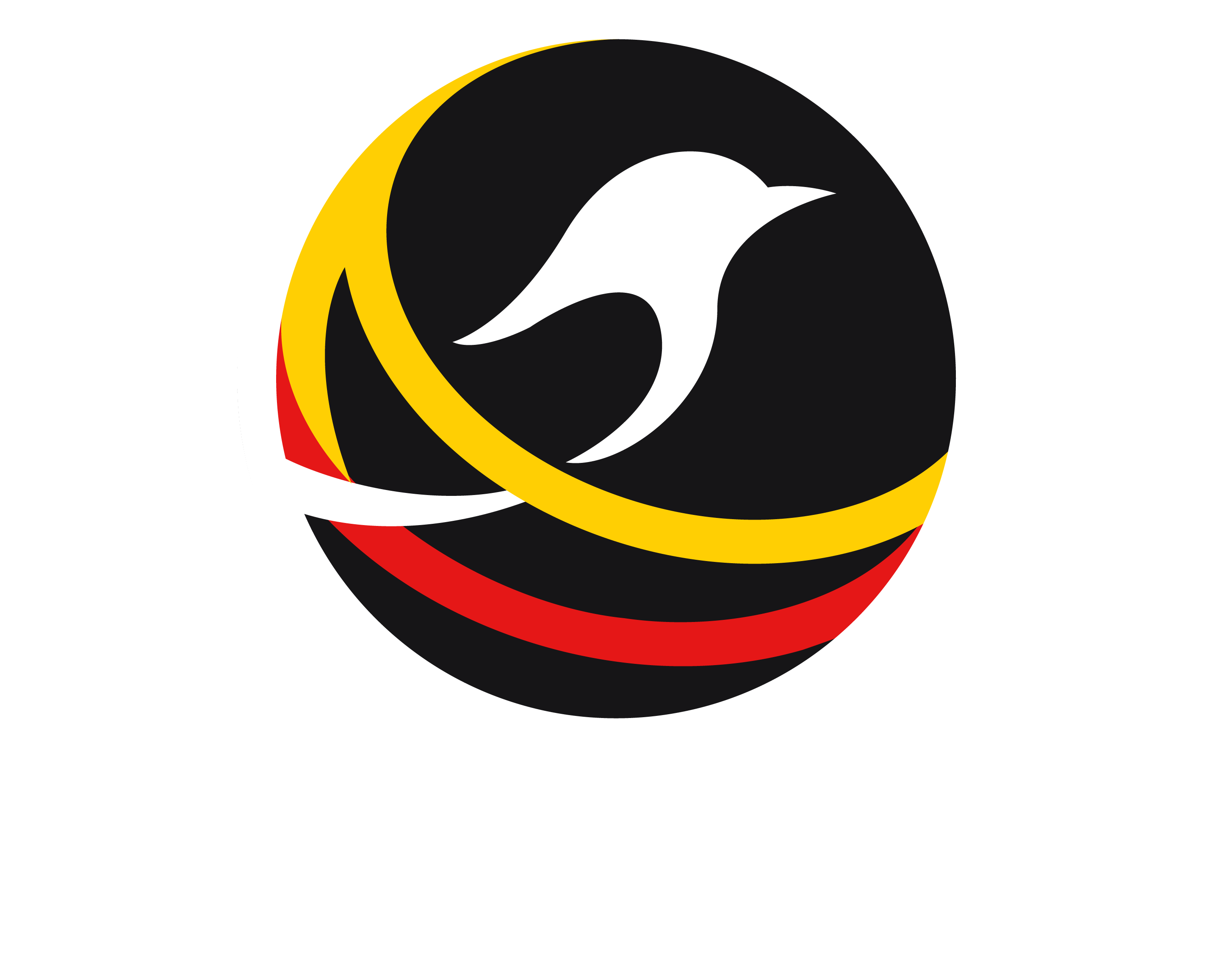 VMS Logo